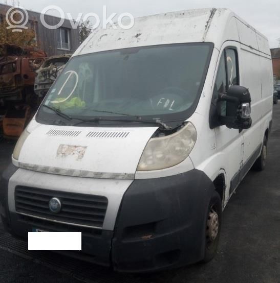 Ducato Ducato  1369495080