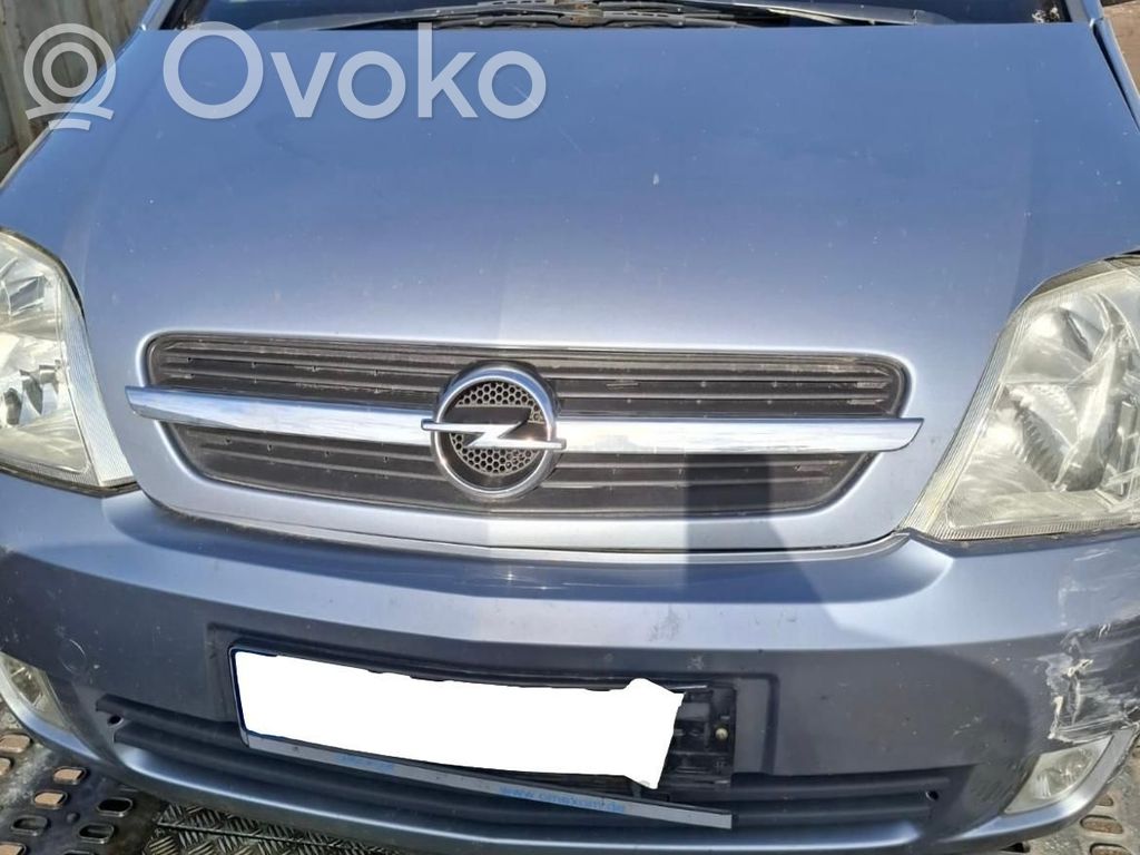 Meriva A Meriva  100583115