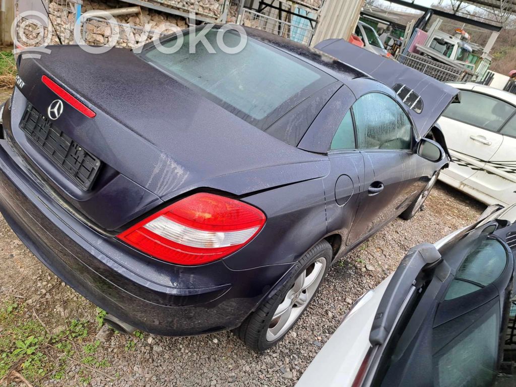SLK R171 SLK-class, AMG (W170, W171, W172)  DC2307901377