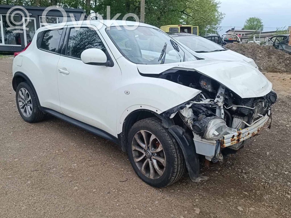 Juke I F15 Juke  904501KA1B