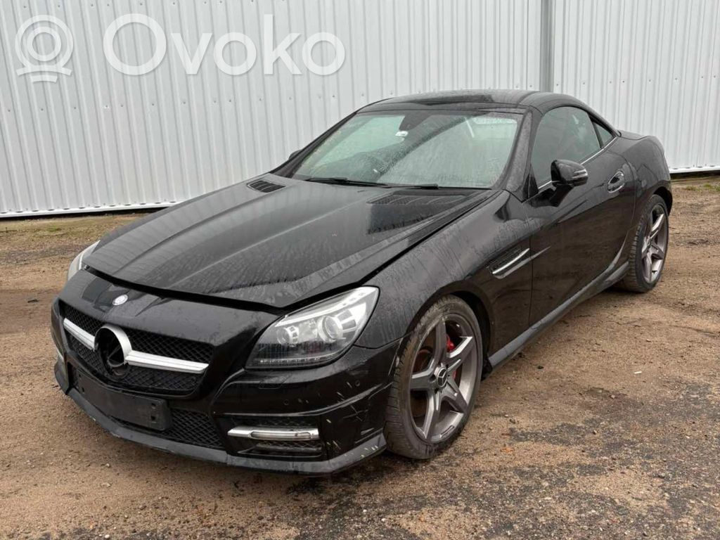 SLK R172 SLK-class, AMG (W170, W171, W172)  A1725420123