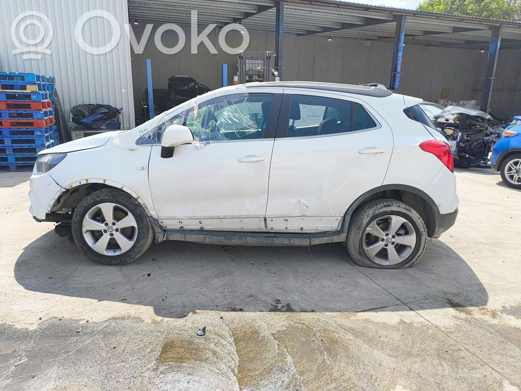 Mokka X Mokka  13408448