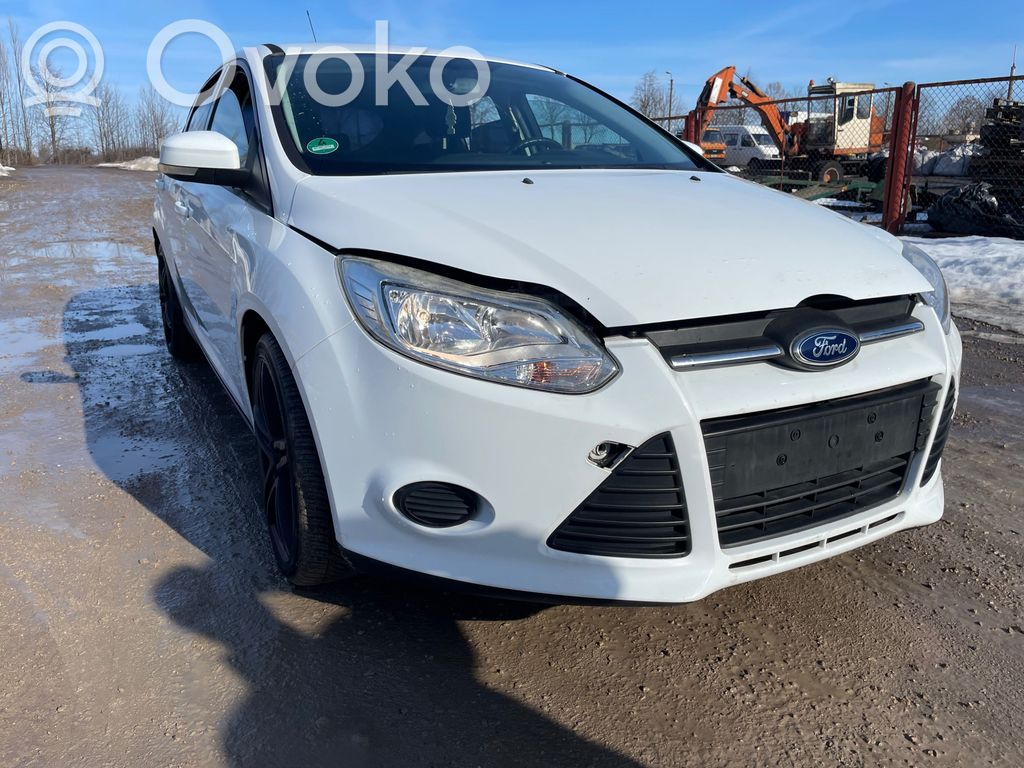 Focus Focus  CV619G444CA