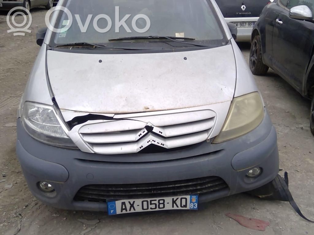 C3 C3, Pluriel, Picasso  00009202A1