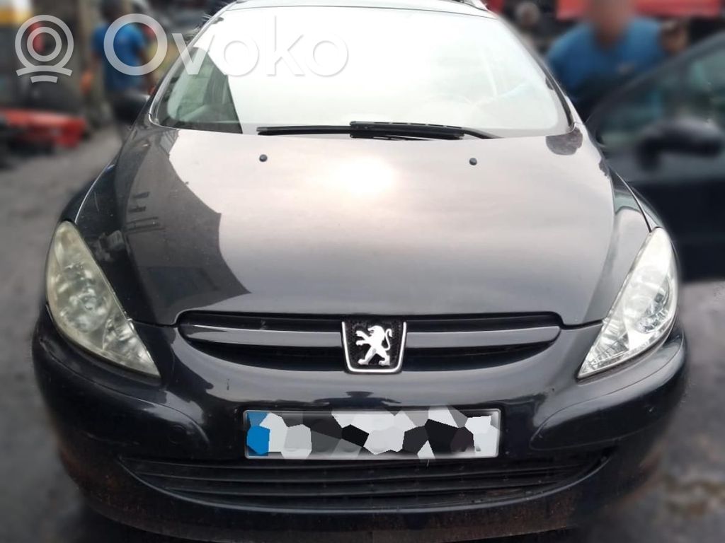 307 307  9658344580