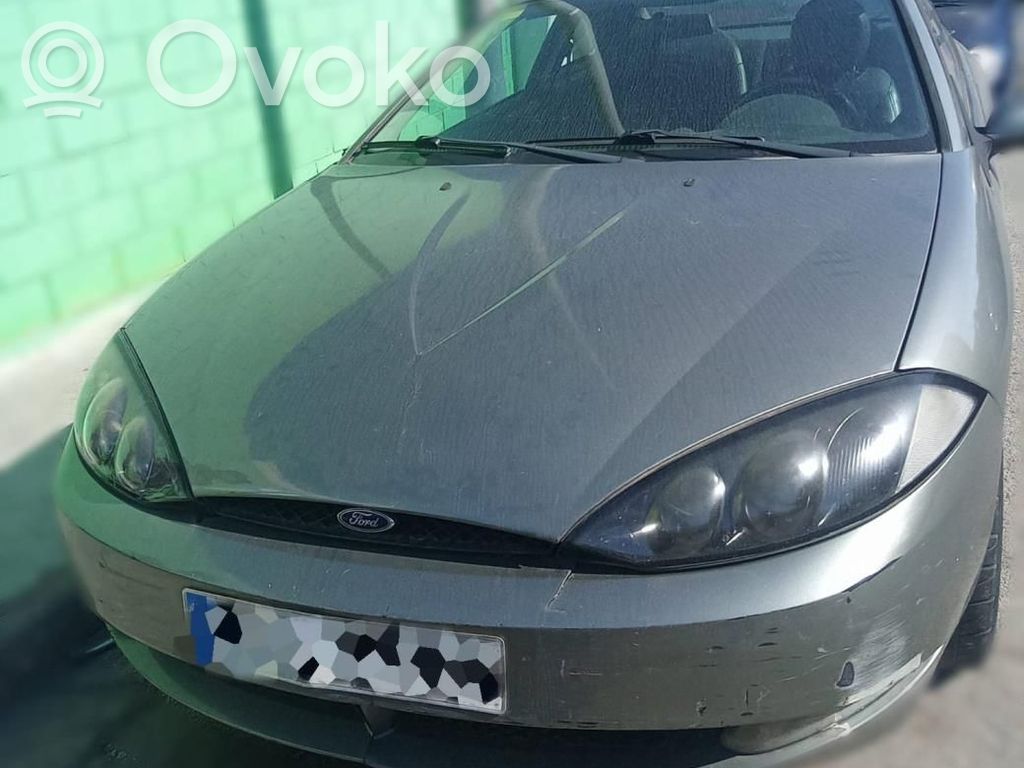 Cougar Cougar  938876