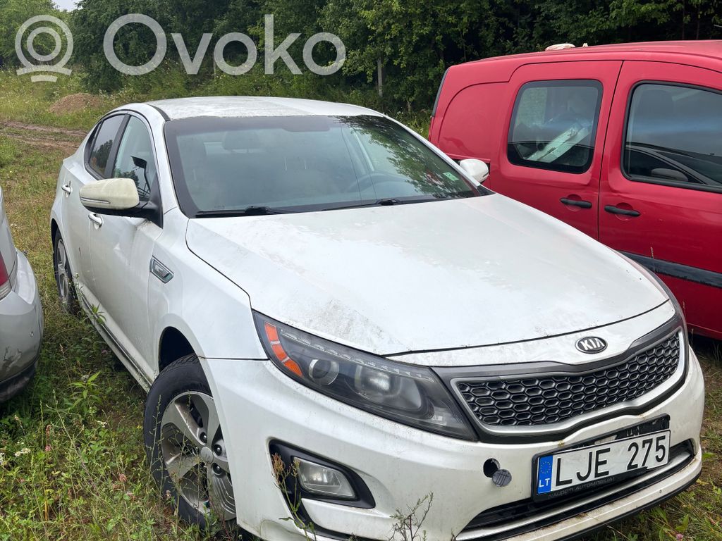 Optima Optima  7086366