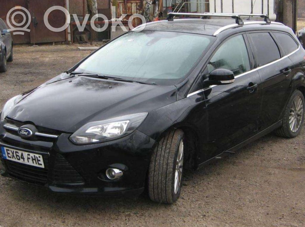Focus Focus  T948544