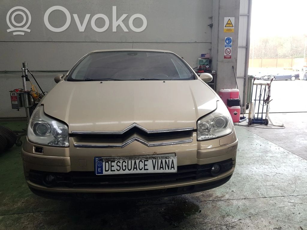C5 C5, C5 Aircross  9659847280