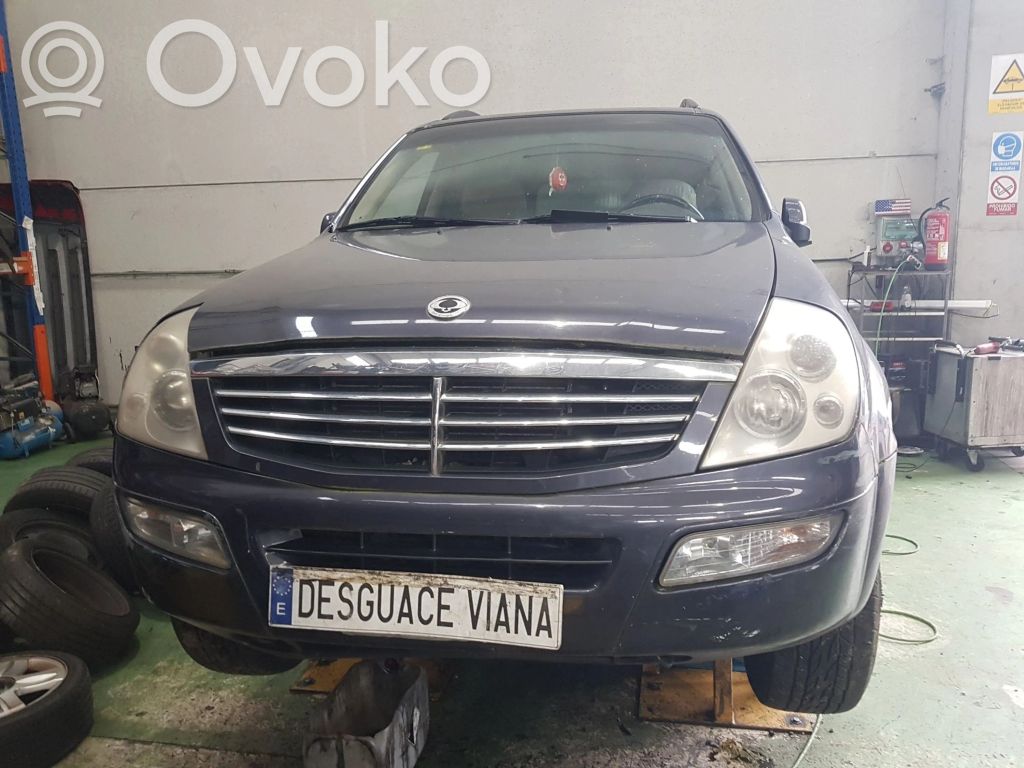 Rexton Rexton