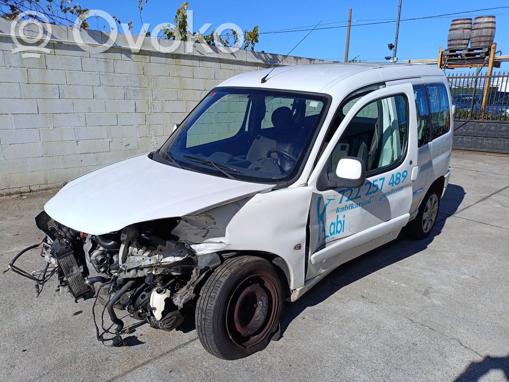 Berlingo Berlingo  G195051A