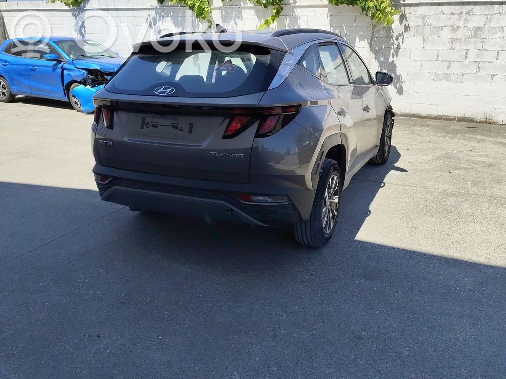 Tucson TL Tucson  392102M425