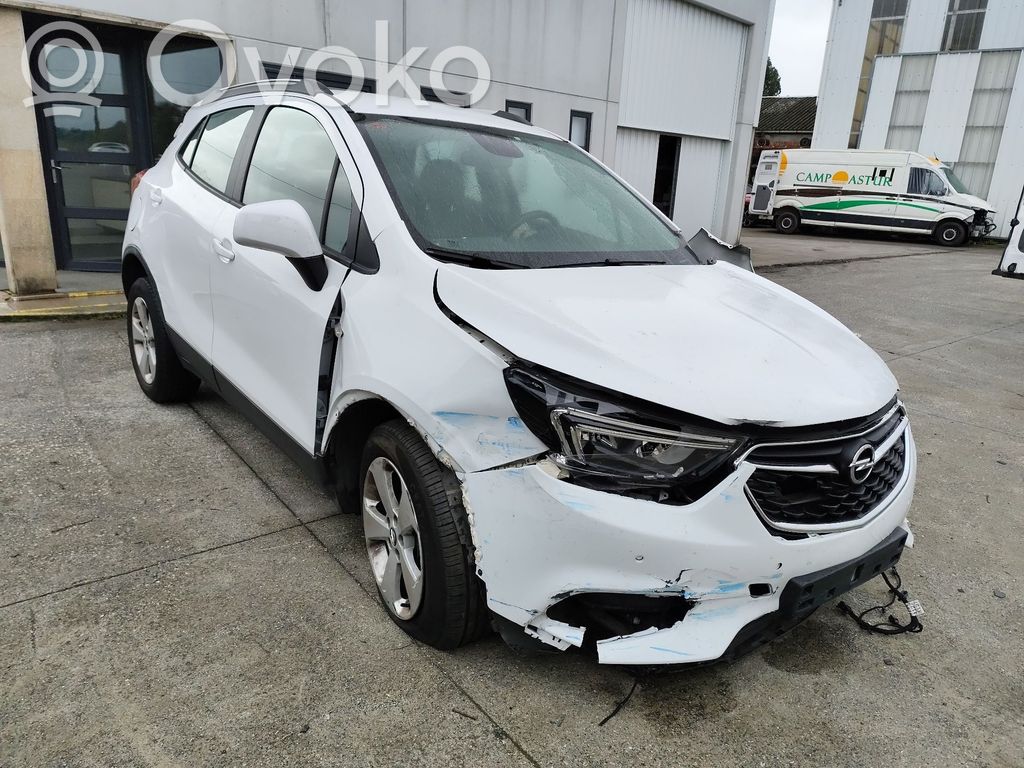 Mokka X Mokka  22992802