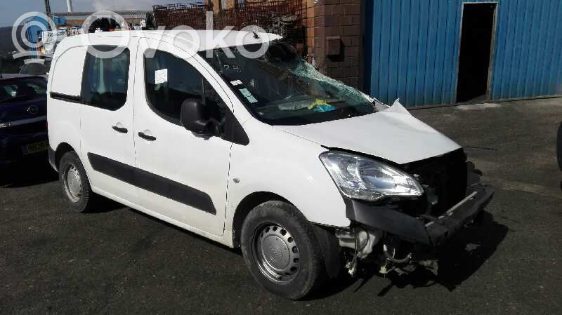 Berlingo Berlingo  557452