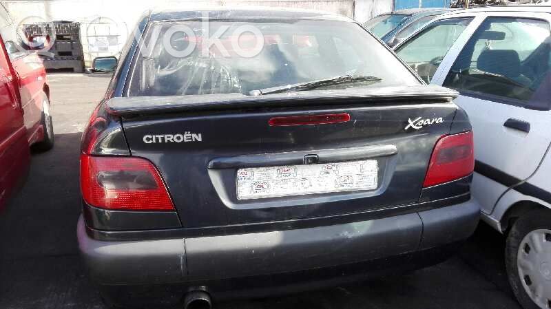 Xsara Xsara, Xsara Picasso