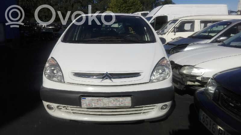 Xsara Picasso Xsara, Xsara Picasso