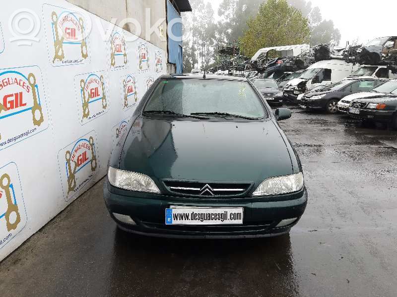 Xsara Xsara, Xsara Picasso