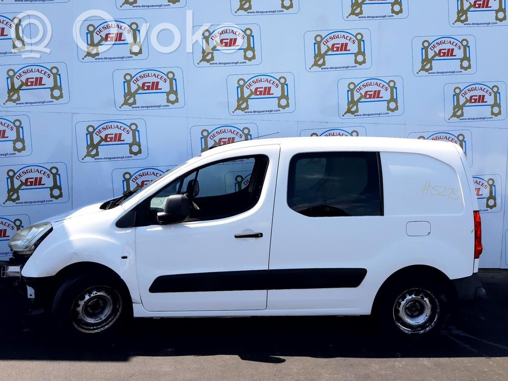 Berlingo Berlingo  E3010
