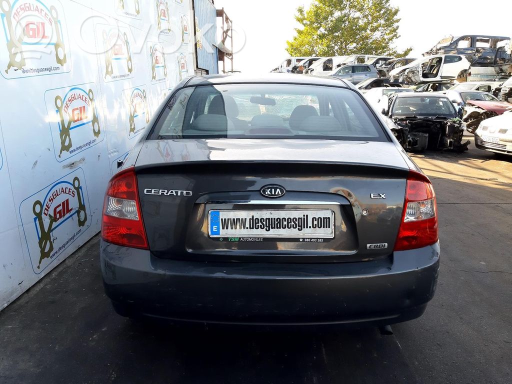 Cerato Cerato