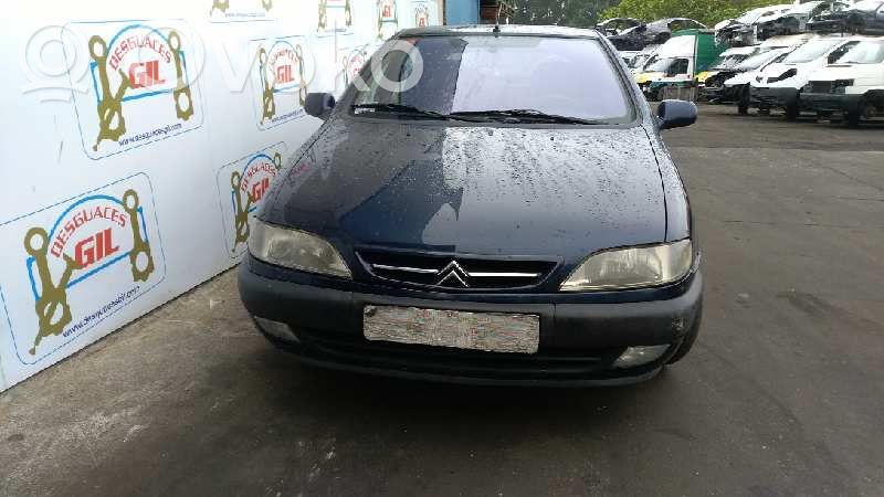 Xsara Xsara, Xsara Picasso
