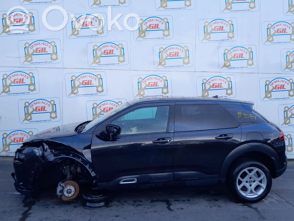 C4 II C4 Picasso, Grand Picasso, Aircross, Cactus  9822423680