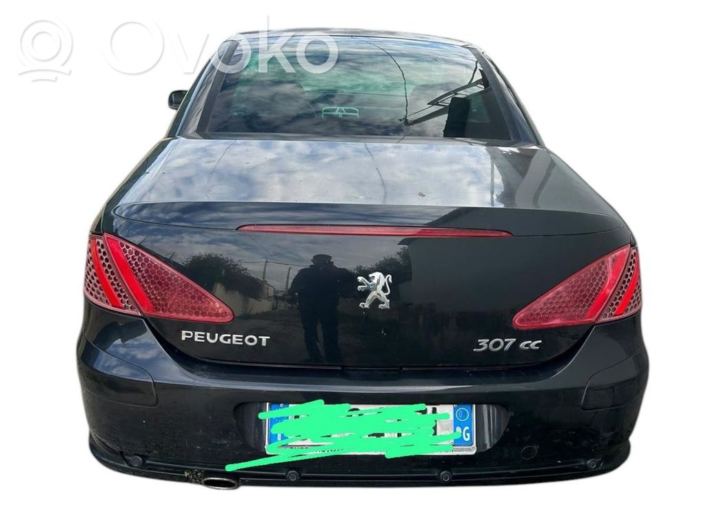 307 CC 307