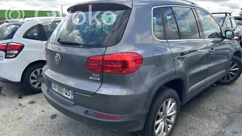 Tiguan Tiguan  5N0413031BH