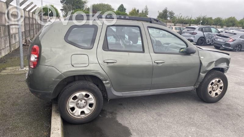 Duster Duster  490014807R
