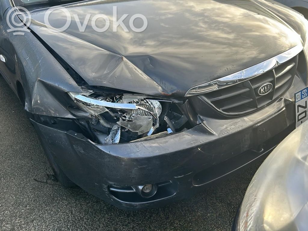 Cerato Cerato  760032F020