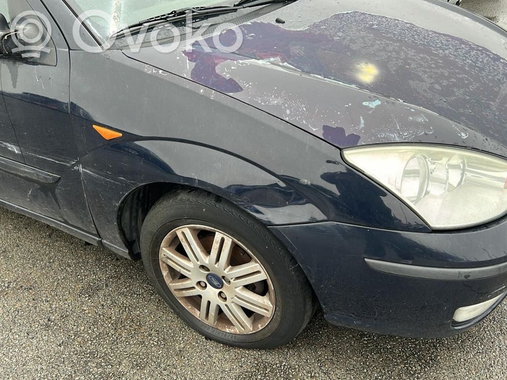 Focus Focus  1230699