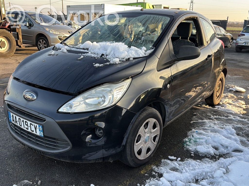 Ka Ka  1542365
