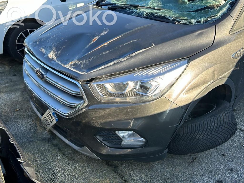 Kuga II Kuga  2265298