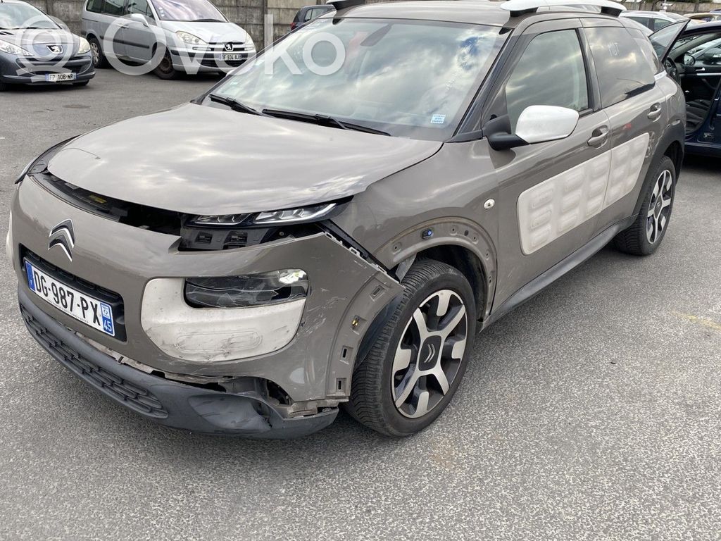 C4 Cactus C4 Picasso, Grand Picasso, Aircross, Cactus  1611428480