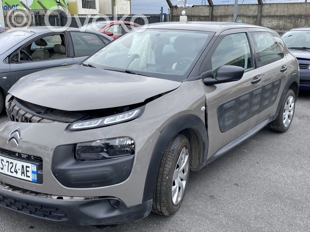C4 Cactus C4 Picasso, Grand Picasso, Aircross, Cactus  1619251080