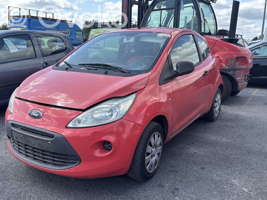 Ka Ka  1542365