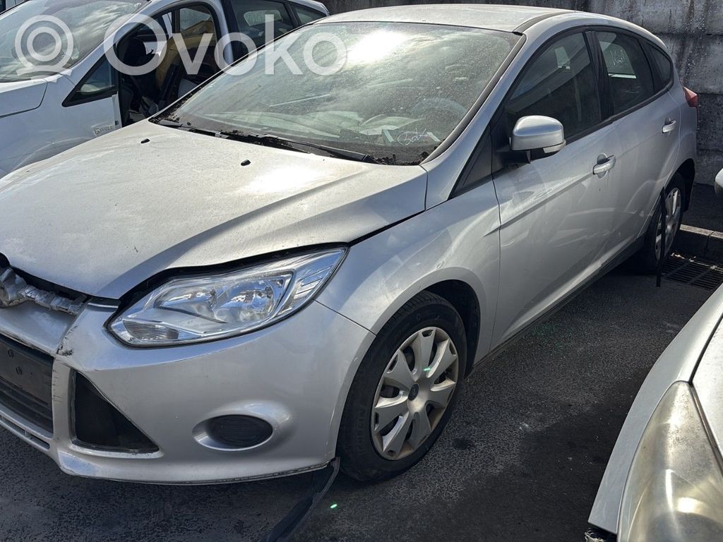 Focus Focus  1838957