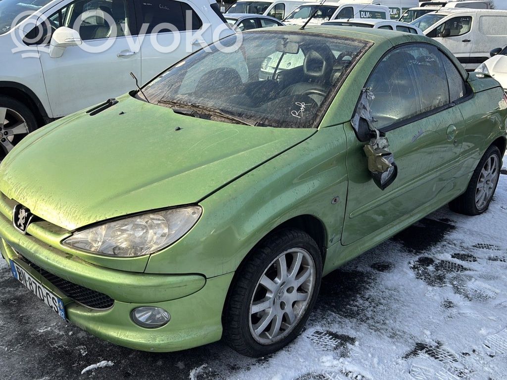206 CC 206, 206+  9648482980