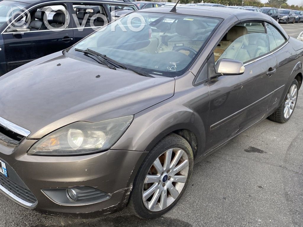 Focus Focus  1562246