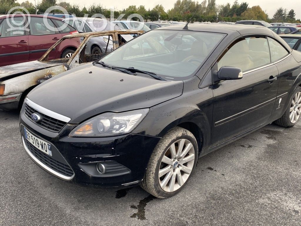 Focus Focus  1708682