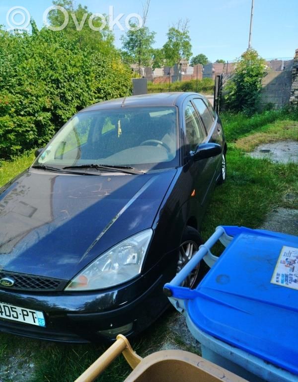 Focus Focus  1022461