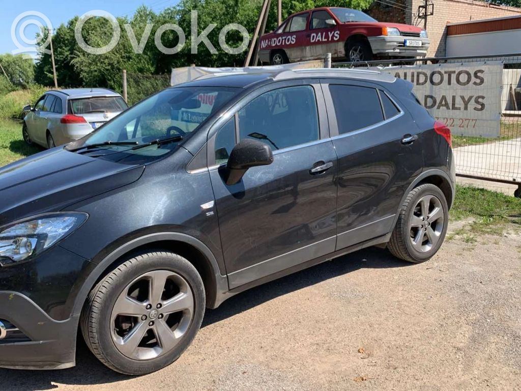 Mokka Mokka  25947952
