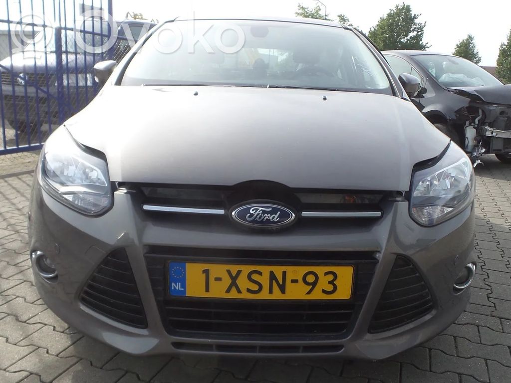 Focus Focus  CV6119D629FE