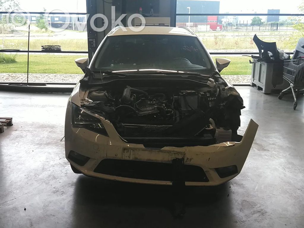 Leon (5F) Leon  04C907309AE