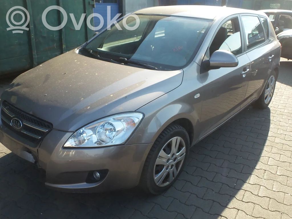 Ceed Ceed, Ceed SW, Pro Ceed  589201H300