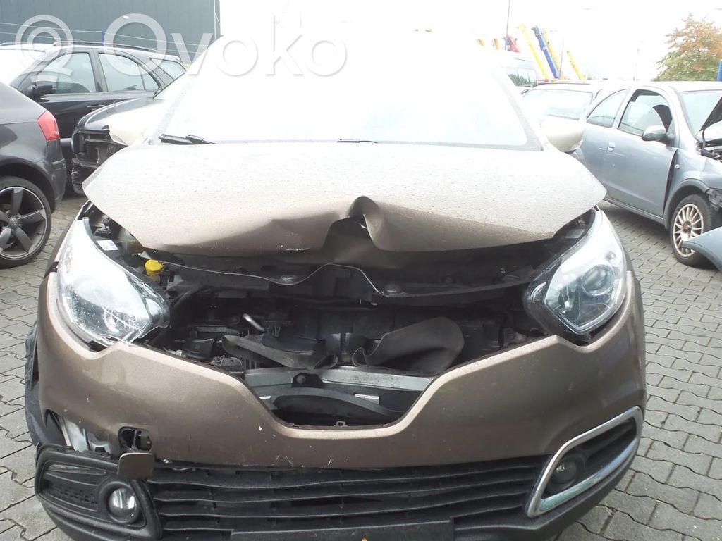 Captur Captur  490013552R