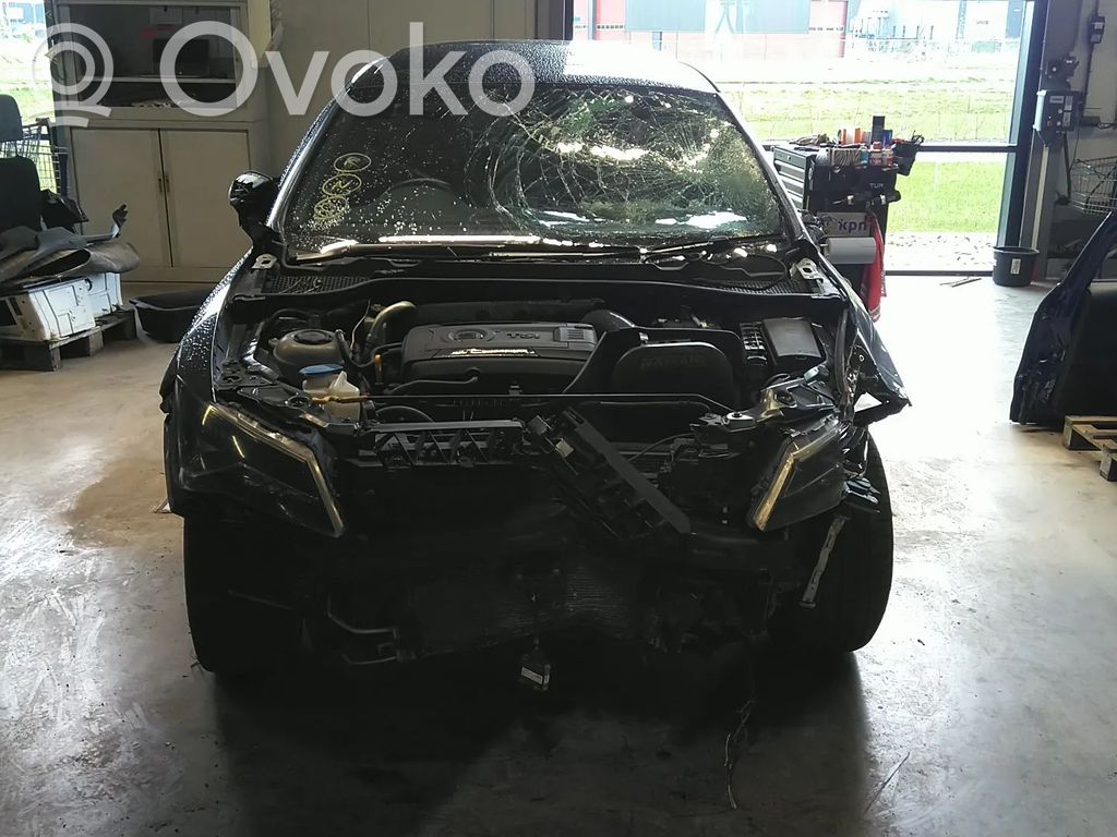 Leon (5F) Leon  06J903023D