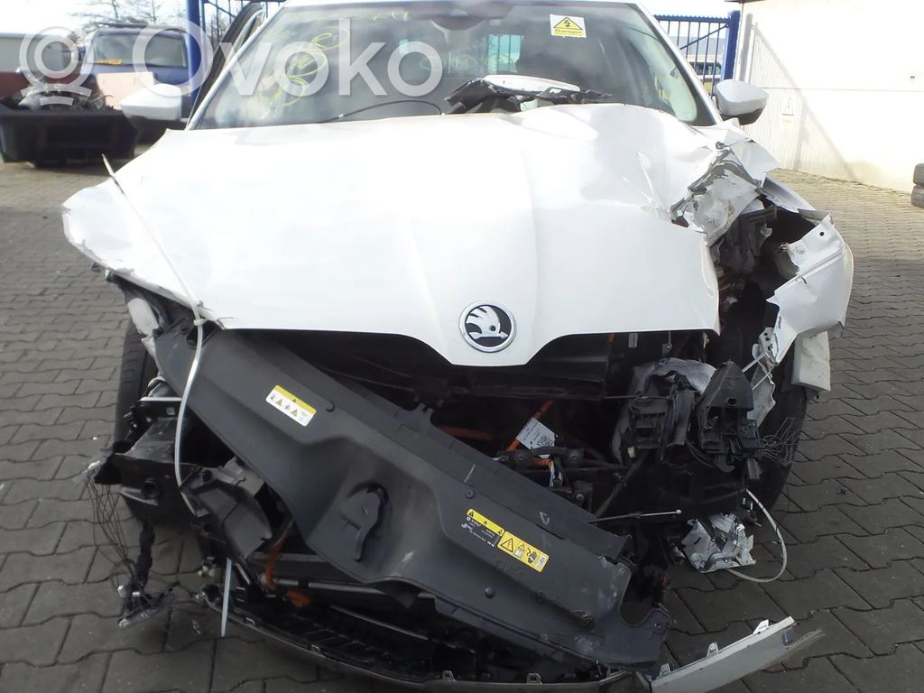 Superb B8 (3V) Superb  04E906262HG