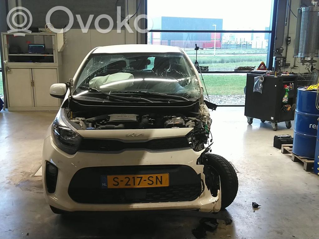 Picanto Picanto  3921007070