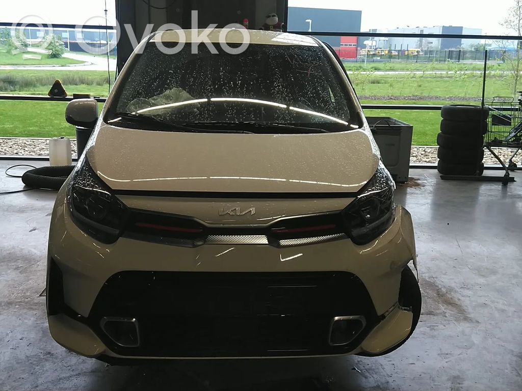 Picanto Picanto  3921007000