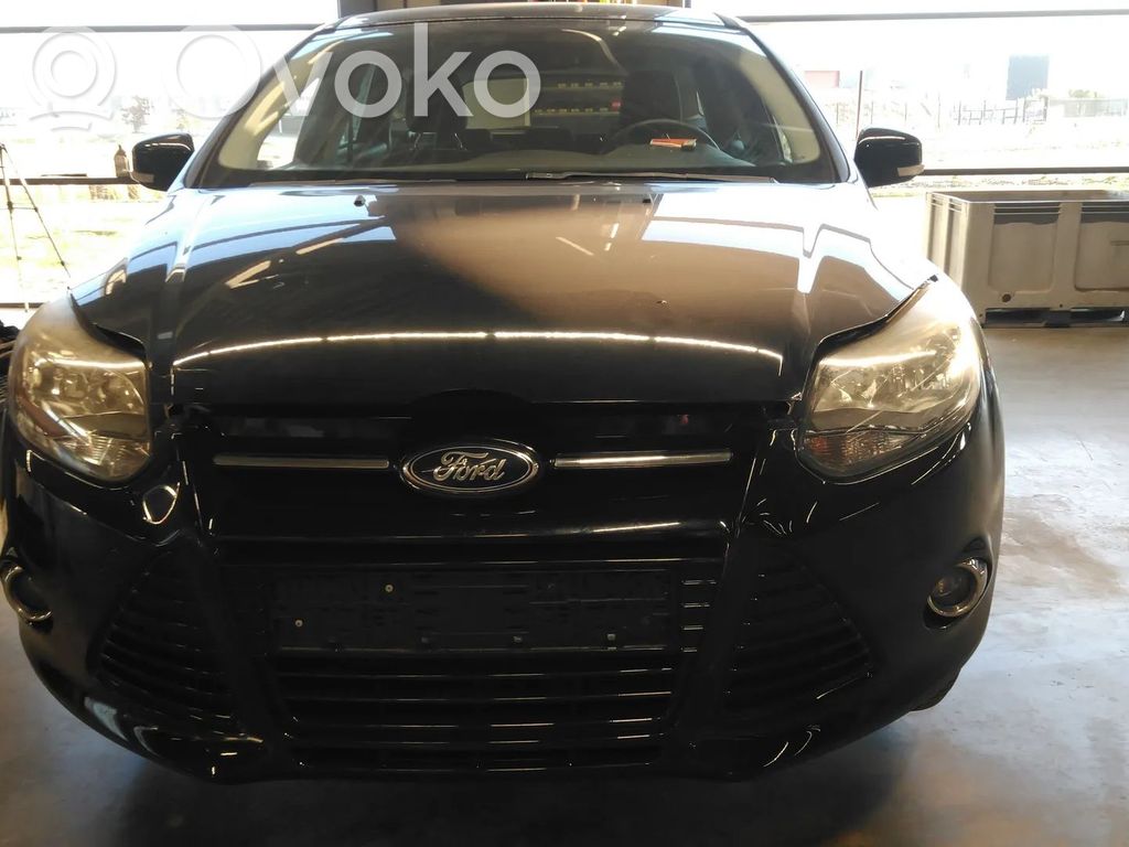 Focus Focus  1834446